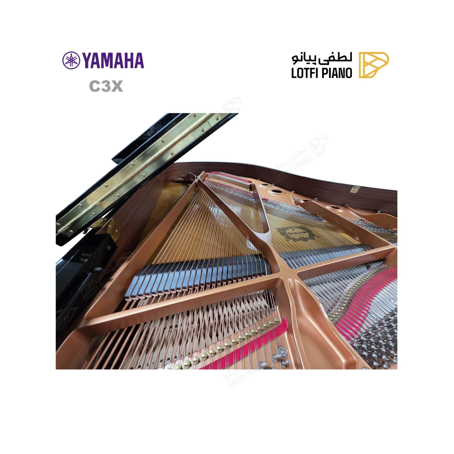 پیانو رویال یاماها مدل YAMAHA C3X - thumbnail 7