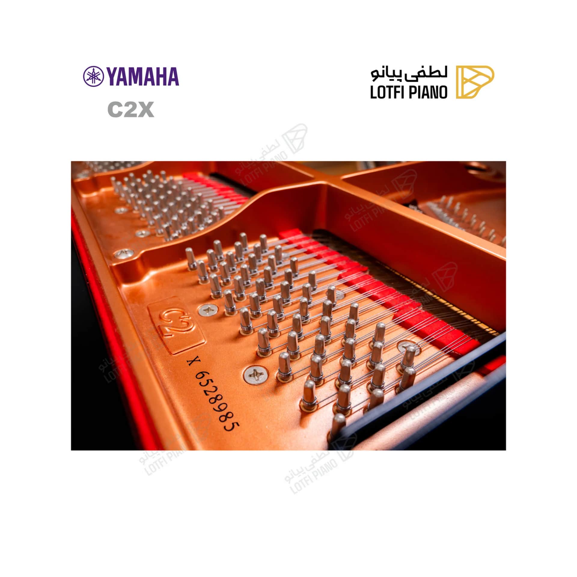 پیانو رویال یاماها مدل YAMAHA C2X - thumbnail 7
