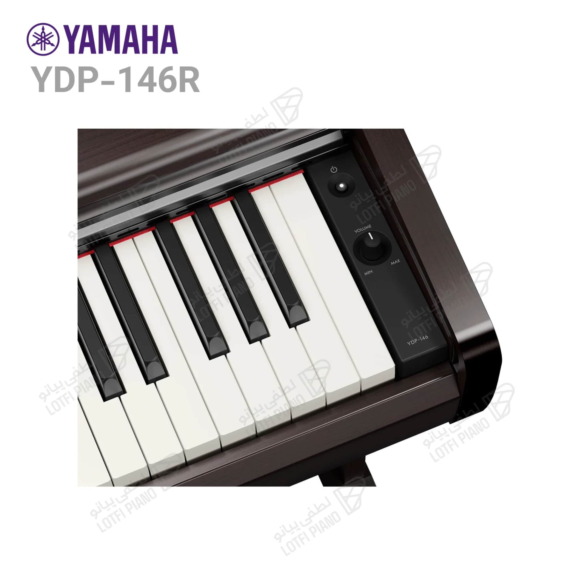 پیانو دیجیتال یاماها مدل Yamaha YDP-146 - thumbnail 5