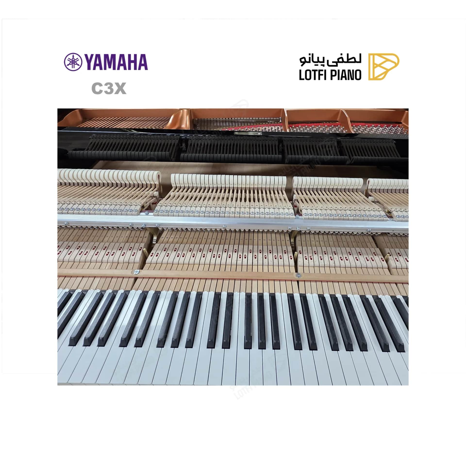 پیانو رویال یاماها مدل YAMAHA C3X - thumbnail 9