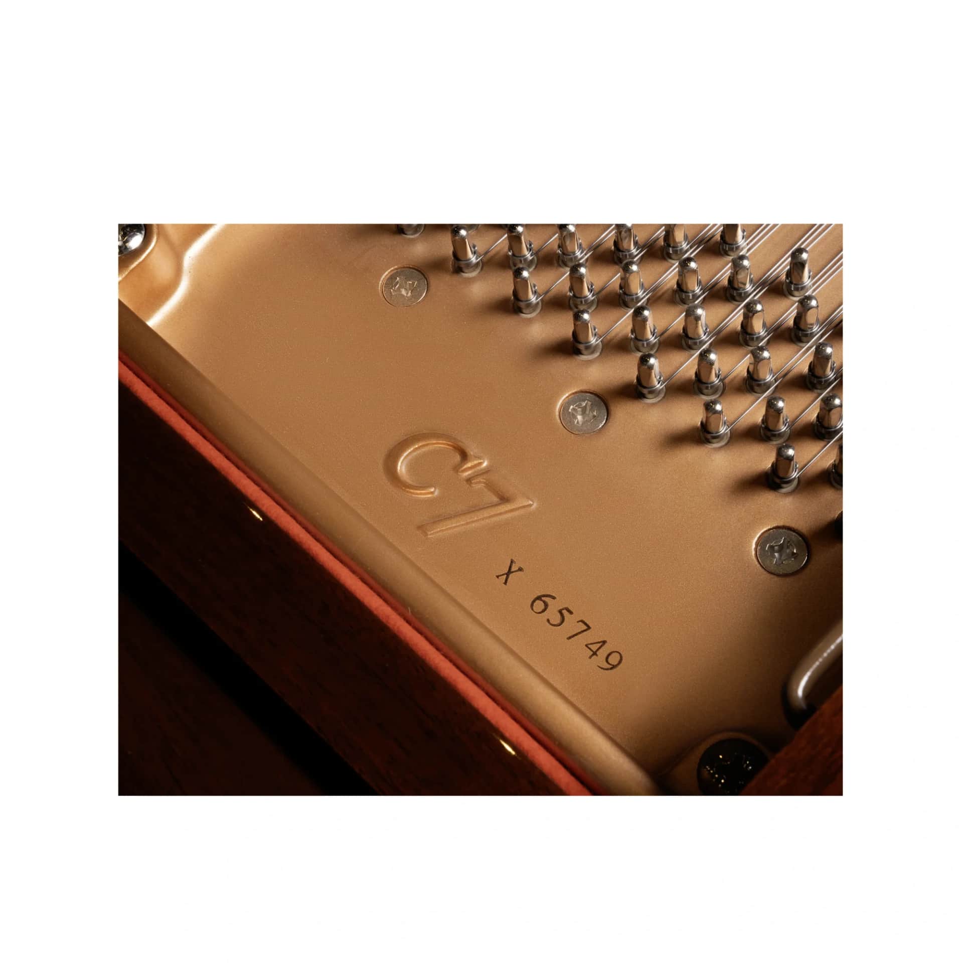 پیانو رویال یاماها مدل Yamaha C7X - thumbnail 4