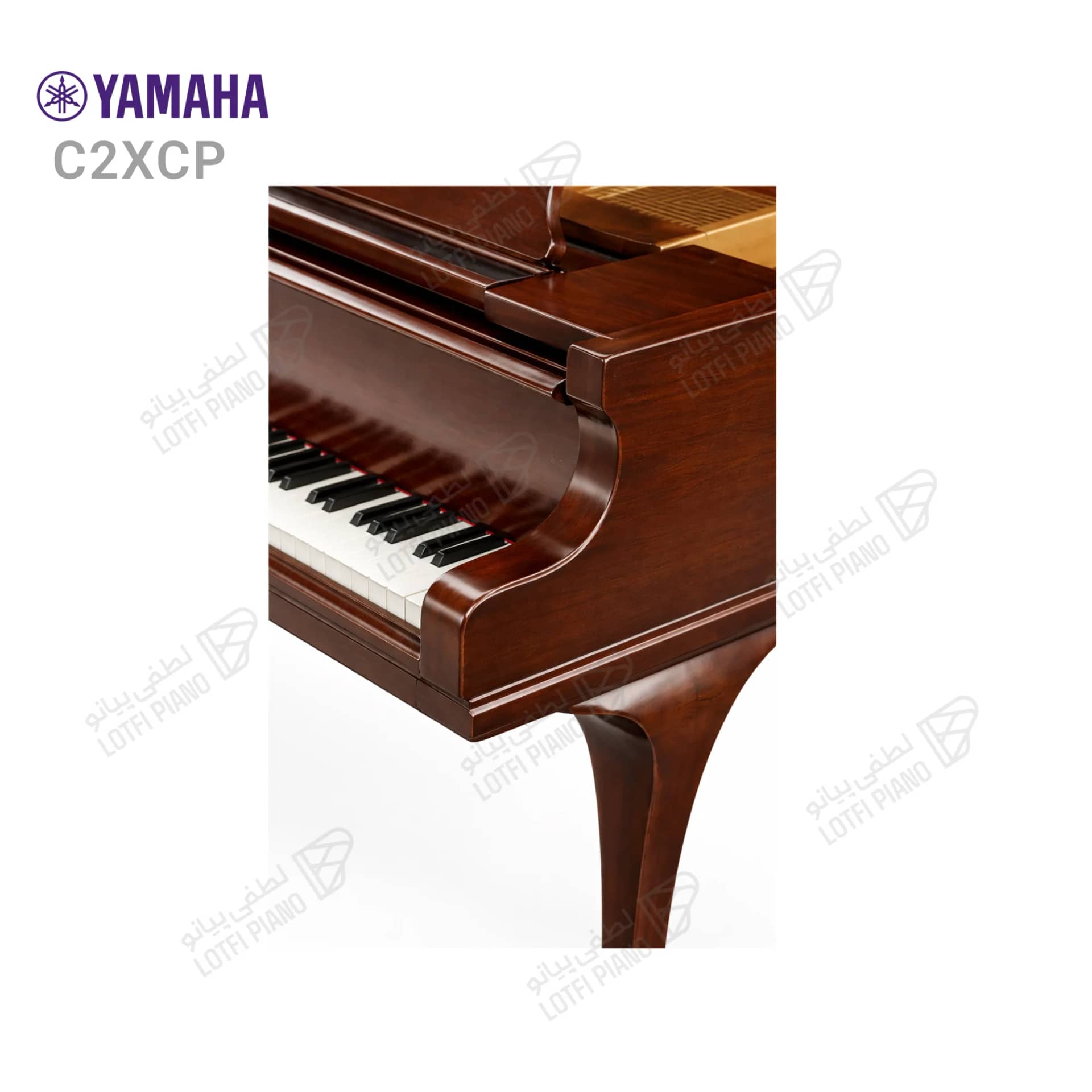 پیانو رویال یاماها مدل C2XCP - 4