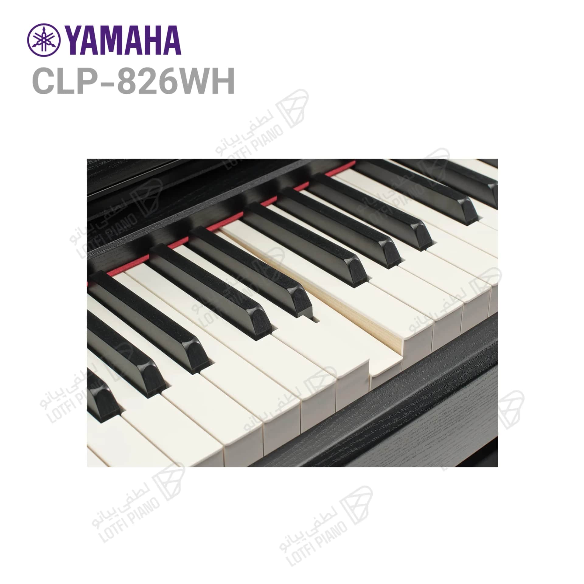 پیانو دیجیتال یاماها مدل YAMAHA CLP-826 - thumbnail 5