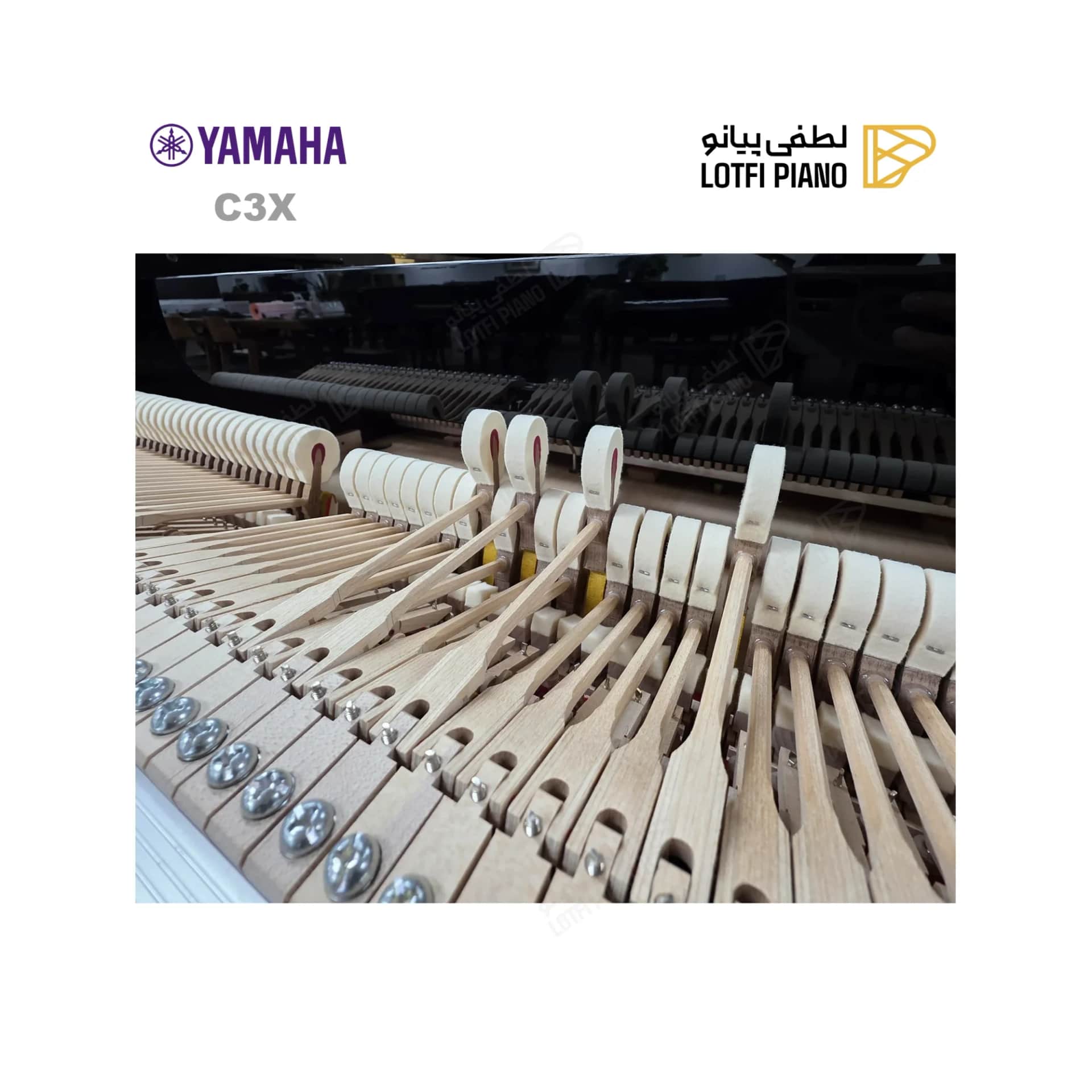 پیانو رویال یاماها مدل YAMAHA C3X - thumbnail 8