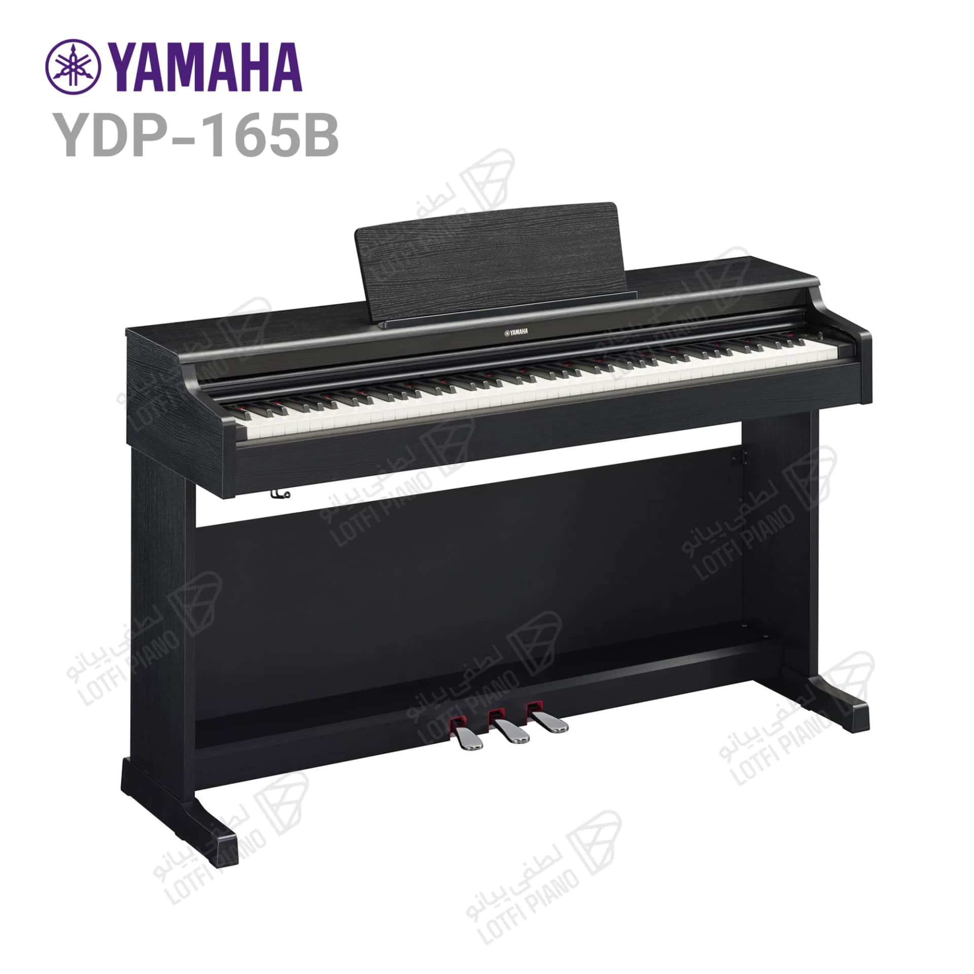پیانو دیجیتال یاماها مدل YAMAHA YDP-165 - thumbnail 6